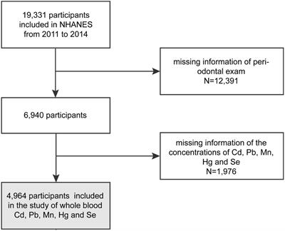 Association between levels of blood trace minerals and periodontitis among United States adults